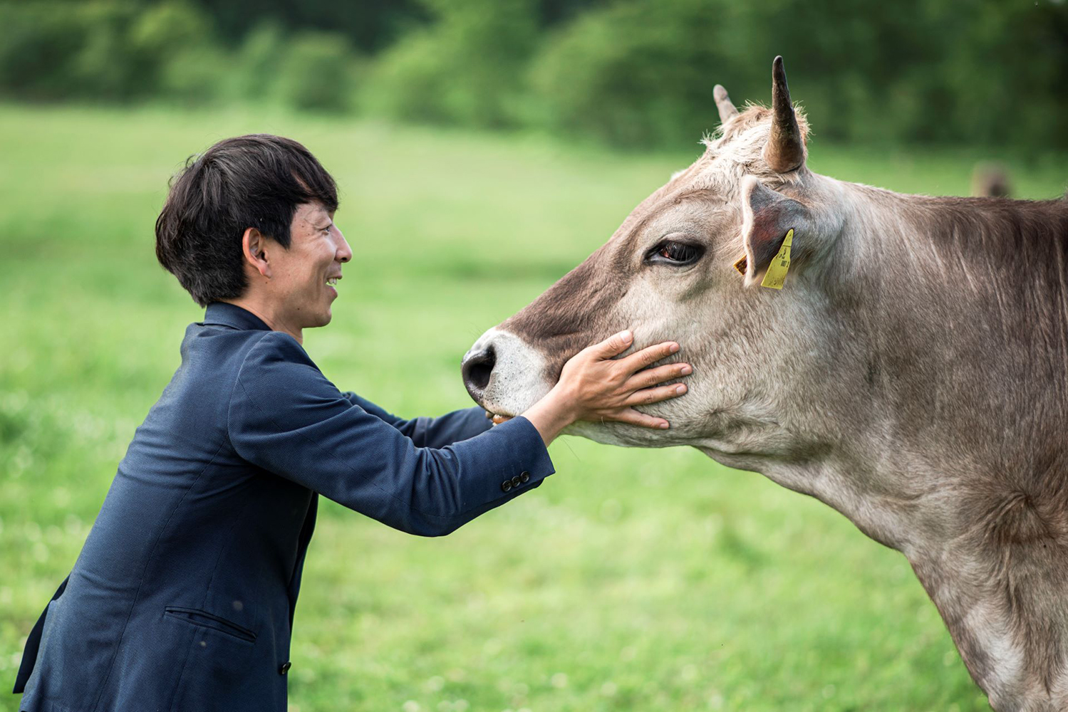 牧場で輝く家畜の命㉖ A